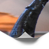 Robin in de heupen poster (Hoek)