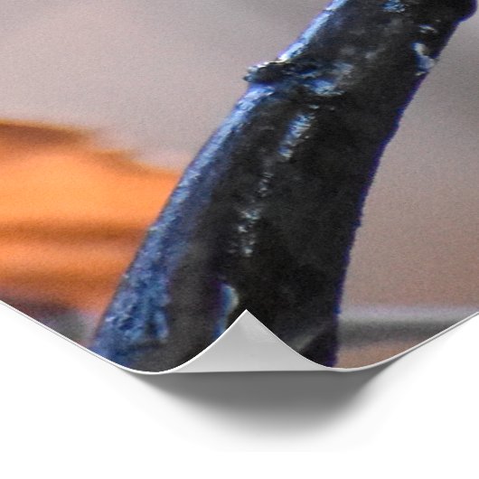 Robin in de heupen poster (Hoek)