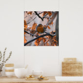 Robin in de heupen poster (Keuken)