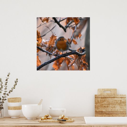 Robin in de heupen poster (Keuken)