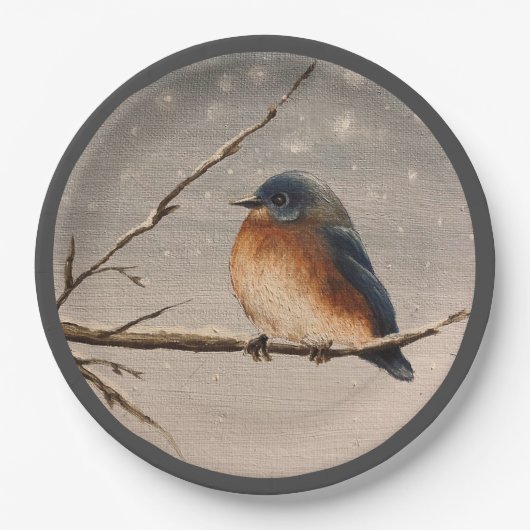 Robin in de sneeuw papieren bordje (Voorkant)