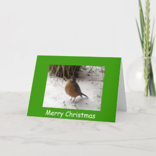 Robin in de sneeuw, vrolijk kerstfeest feestdagen kaart