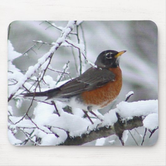 Robin in de Sneeuwveger Mousepad Muismat (Voorkant)