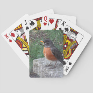 Robin in de tuin Pokerkaarten