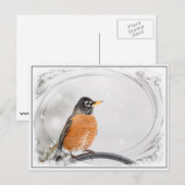 Robin in de winter briefkaart (Voorkant / Achterkant)