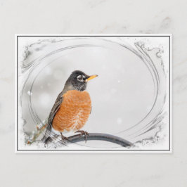 Robin in de winter briefkaart