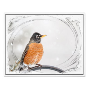 Robin in de winter foto afdruk