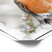 Robin in de winter foto afdruk (Hoek)