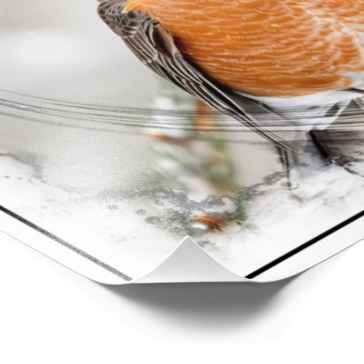 Robin in de winter foto afdruk (Hoek)