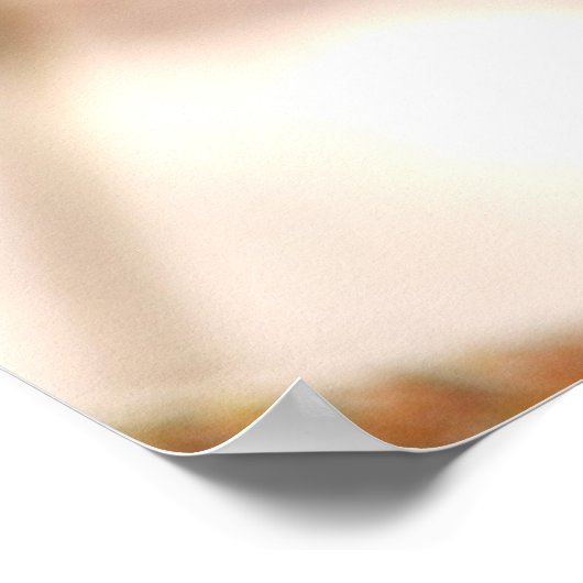 Robin in de winter poster (Hoek)