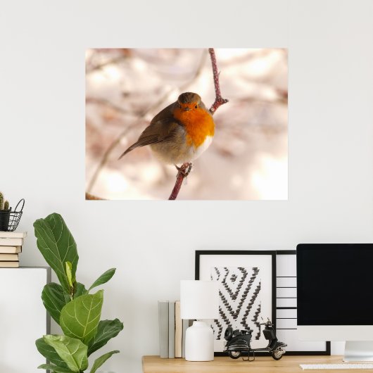 Robin in de winter poster (Thuiskantoor)