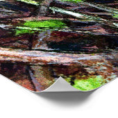 Robin in een afdekking poster (Hoek)