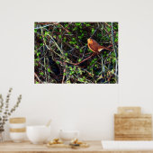 Robin in een afdekking poster (Keuken)