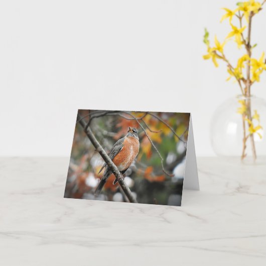 Robin in een boomblanco kaart (Gele Bloem)