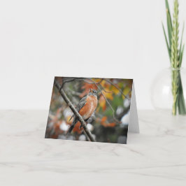 Robin in een boomblanco kaart