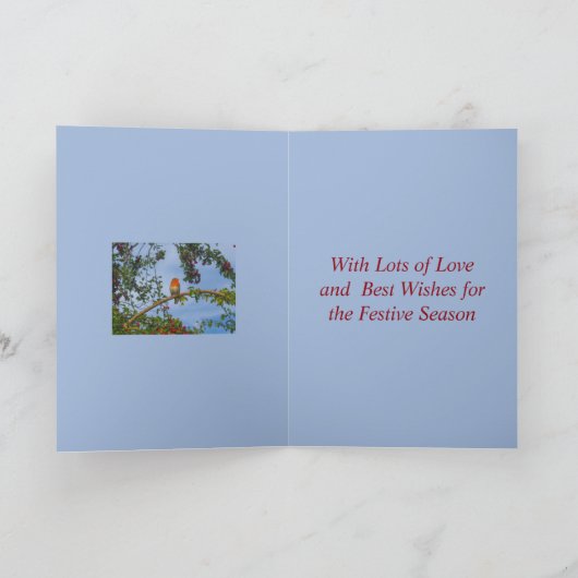 Robin in een Hawthorn Tree-kerstkaart Stepmum Kaart (Binnen)