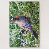 Robin in Grass Legpuzzel (Verticaal)