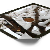 Robin in het zwart poster (Hoek)