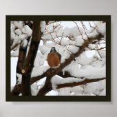 Robin in het zwart poster (Voorkant)