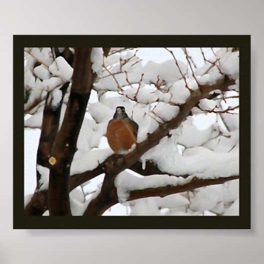 Robin in het zwart poster (Voorkant)