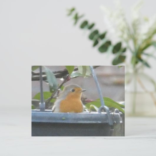 Robin in Plant Pot DIY Briefkaart (Staand voorkant)