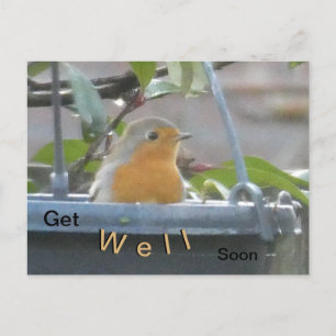 Robin in Plant Pot Get Well Binnenkort Briefkaart