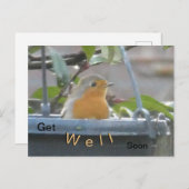 Robin in Plant Pot Get Well Binnenkort Briefkaart (Voorkant / Achterkant)