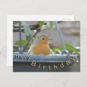 Robin in Plant Pot Happy Birthday Briefkaart (Voorkant / Achterkant)