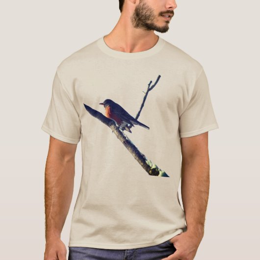 Robin in Snow Natuur T-shirt (Voorkant)