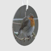 Robin in Snow Ornament (voorkant)
