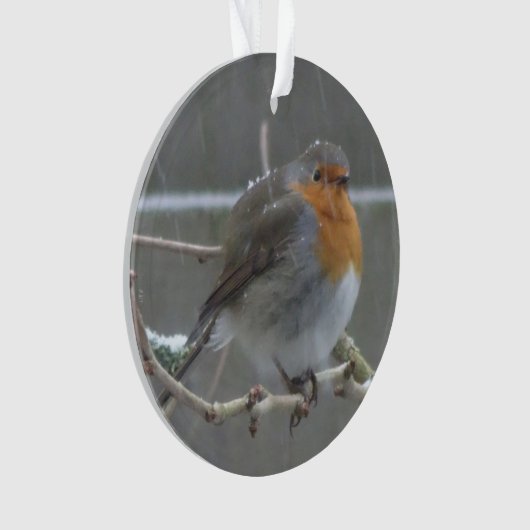Robin in Snow Ornament (voorkant)