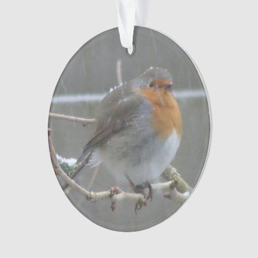 Robin in Snow Ornament (voorkant)