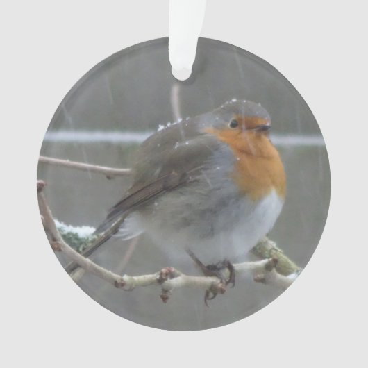 Robin in Snow Ornament (voorkant)