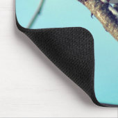 Robin in Snow Wildlife Natuur Muismat (Hoek)