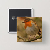Robin in Sunshine Vierkante Button 5,1 Cm (Voorkant /achterkant)