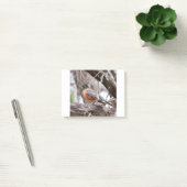 Robin in the trees post-it® notes (Kantoor)
