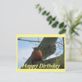 Robin in Tree Foto Verjaardag Briefkaart (Staand voorkant)