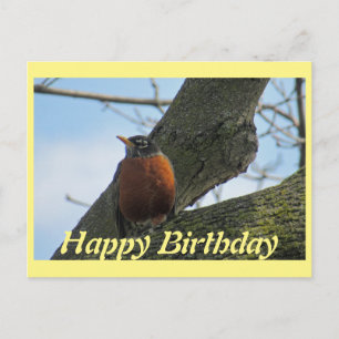 Robin in Tree Foto Verjaardag Briefkaart
