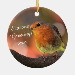 Robin in Tree Seasons Greetings Keramisch Ornament