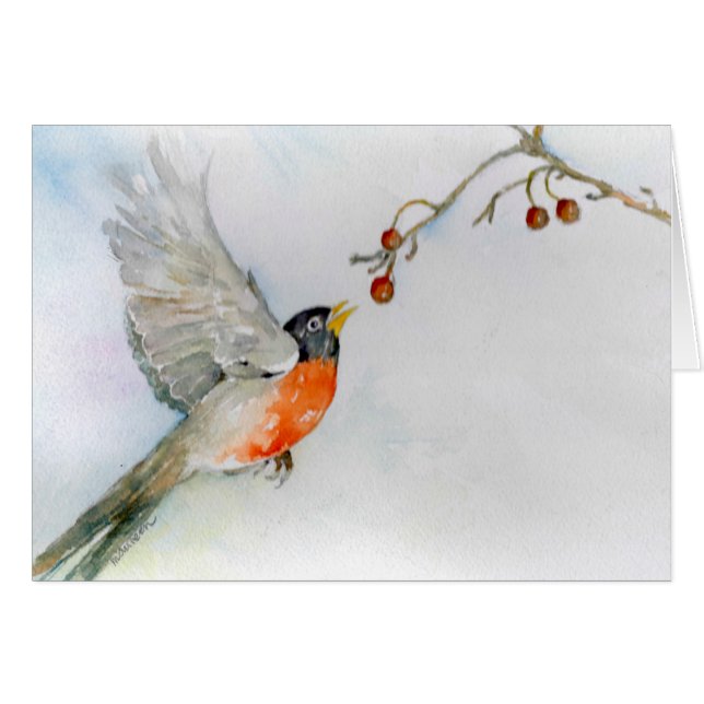 Robin in vlucht (Voorkant Horizontaal)