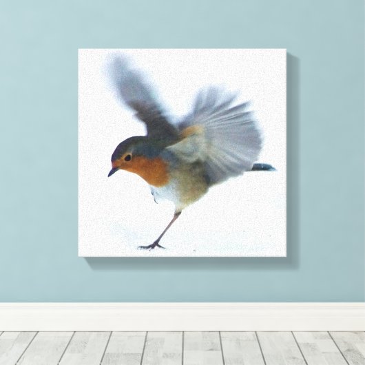 Robin in vlucht canvas afdruk (Insitu (Houten vloer))