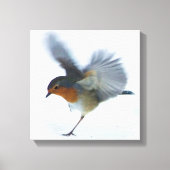 Robin in vlucht canvas afdruk (Voorkant)