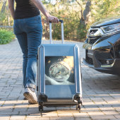 Robin in Wereldbol Vinyl Sticker (Koffer Insitu)