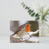 Robin in Winter Briefkaart (Staand voorkant)