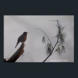 Robin in Winter Poster<br><div class="desc">Robin sitting on a broken branch in winter</div>