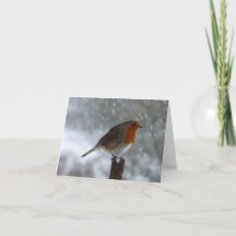 Robin in winter vouwbare kerstkaart