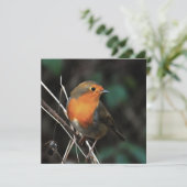 Robin is helder op een saaie dag met acrylkunst kaart (Staand voorkant)