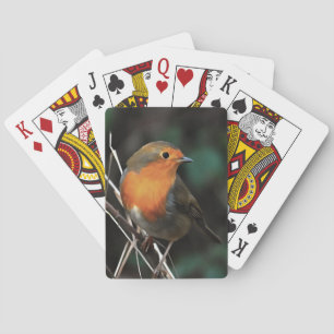 Robin is helder op een saaie dag met acrylkunst pokerkaarten