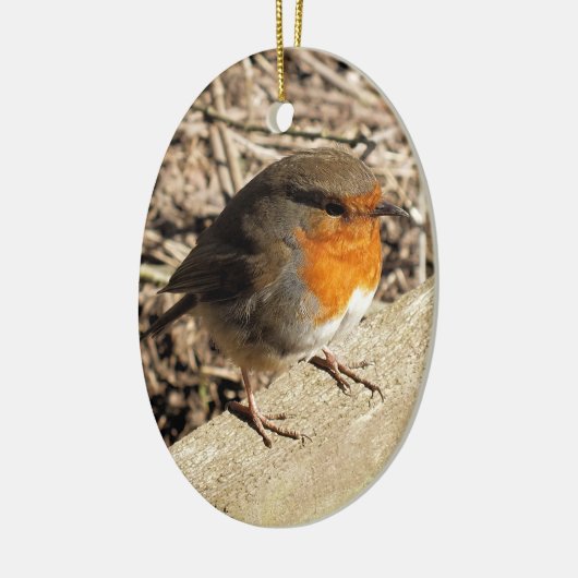 ROBIN KERAMISCH ORNAMENT (Links)