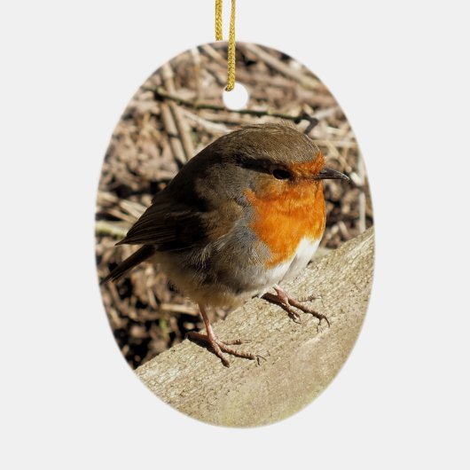 ROBIN KERAMISCH ORNAMENT (Achterkant)